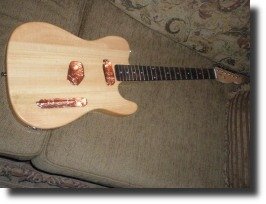 shielded guitar body