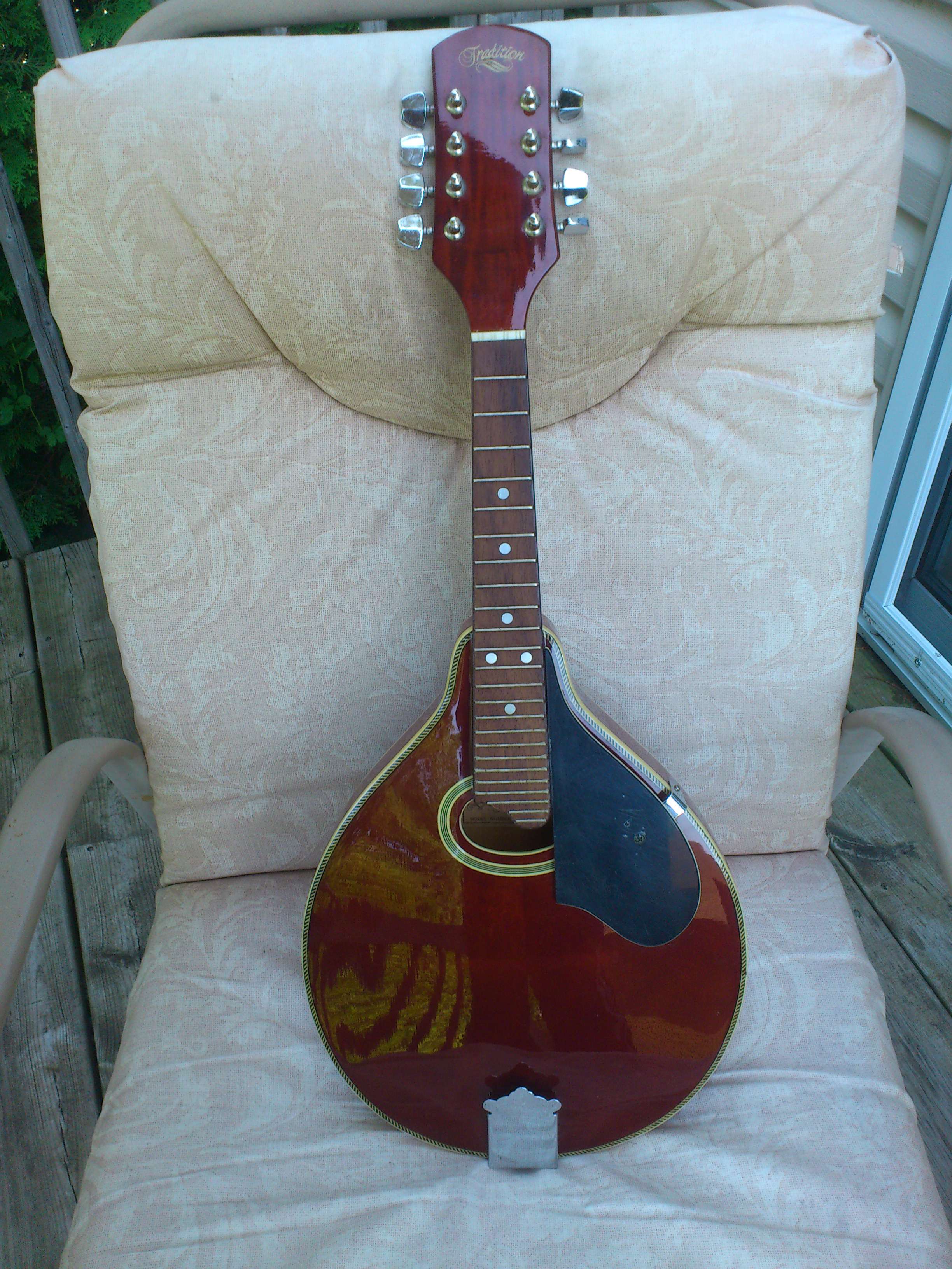 Mandolin in the woods: Miracles still may happen.
