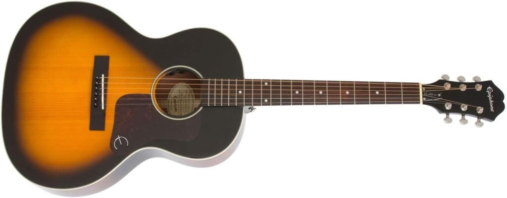 Epiphone EL-00 PRO