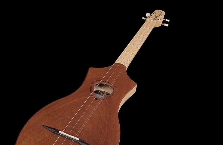 Seagull Dulcimer: A Portable and Fun Instrument Easy to Play