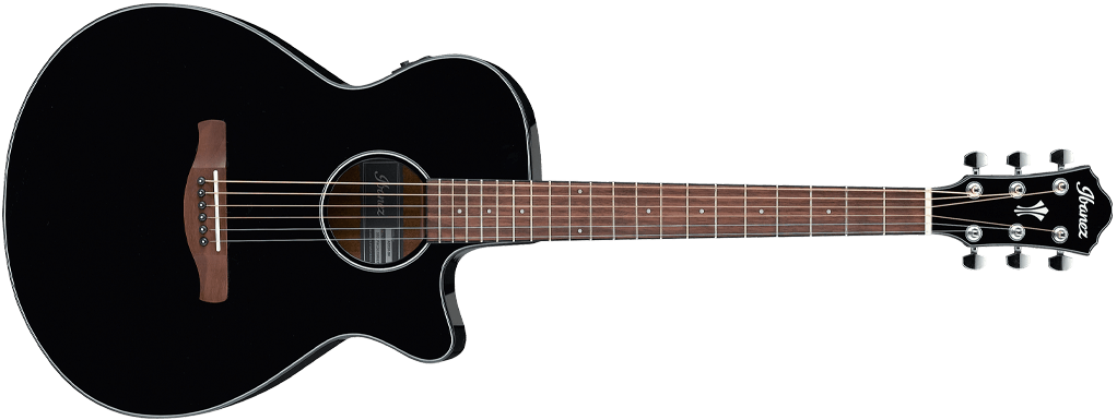 Ibanez AEG10NII